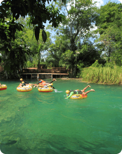 CARR IMG CASAL 01 - 01