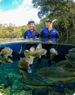 CARR IMG CASAL 03 - 01