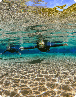 CARR IMG CASAL 07 - 01