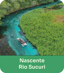 NASCENTE RIO SUCURI